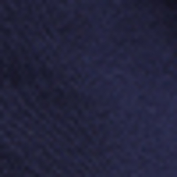 French Navy