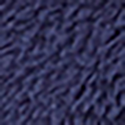 French Navy