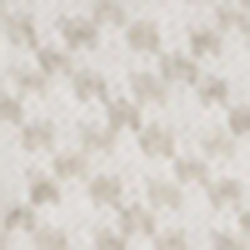 Warm White