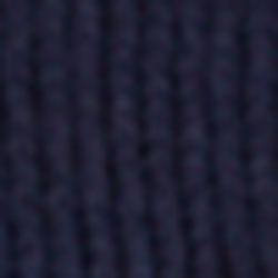 French Navy