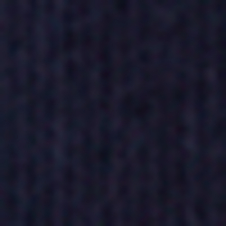 French Navy