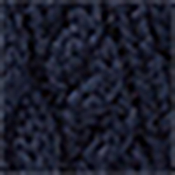 Cruise Navy