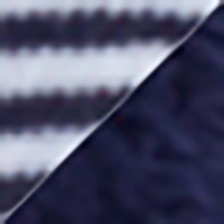 French Navy
