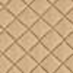 Polished Bronze