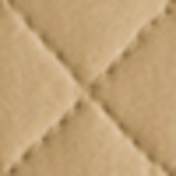 Polished Bronze