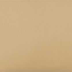 Polished Bronze