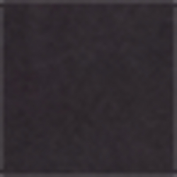 Polo Black
