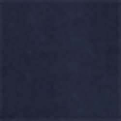 Newport Navy