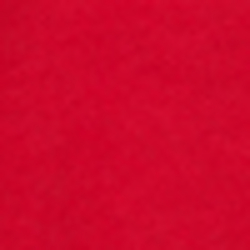 RL 2000 Red