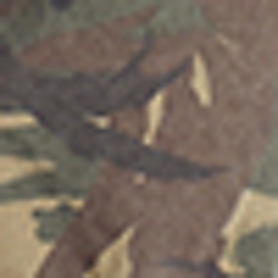 Elmwood Camo