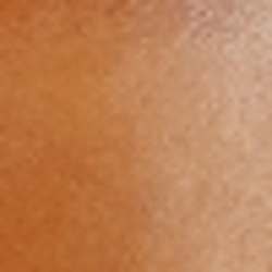 Polo Tan