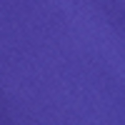 Racing Purple