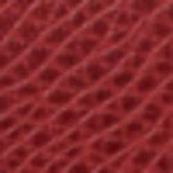 Fall Red