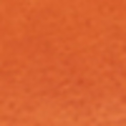 Hunting Orange