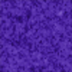 Grand Prix Purple