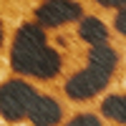 Leopard Print