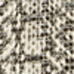 Snake Print/Black