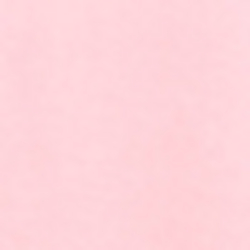 Knockout Pink