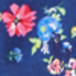 Navy Multi