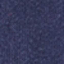 Cruise Navy