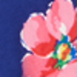 Navy Multi