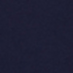 Cruise Navy