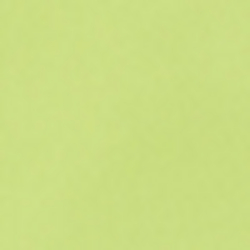 Blaze Neon Citrus