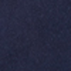 Cruise Navy
