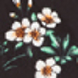 Polo Black Multi
