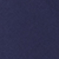 French Navy