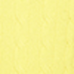 Elite Yellow