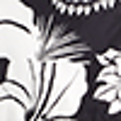 Black/White Floral