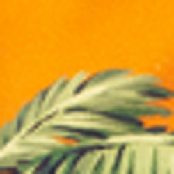 Orange Print