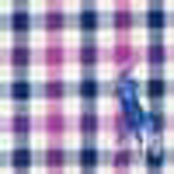 Royal/Purple