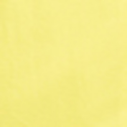 Beach Lemon