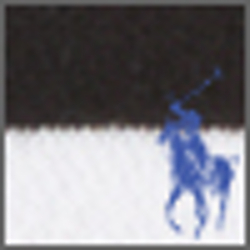 Polo Black Multi