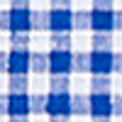 Blue/White