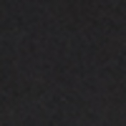 Polo Black