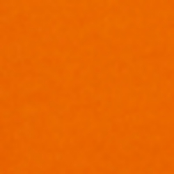 Bright Signal Orange