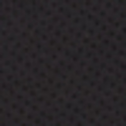 Polo Black