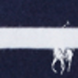Cruise Navy Multi