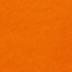 Bright Signal Orange