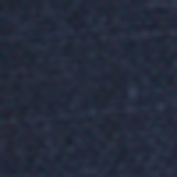 French Navy
