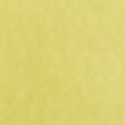 Beach Lemon