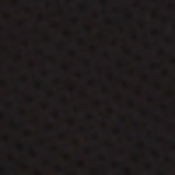 Polo Black