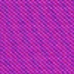 Flo Purple Cactus Flower