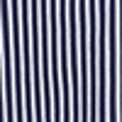 Navy/White