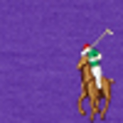 Cabana Purple