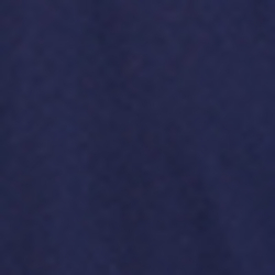 French Navy