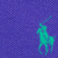 Exotic Purple